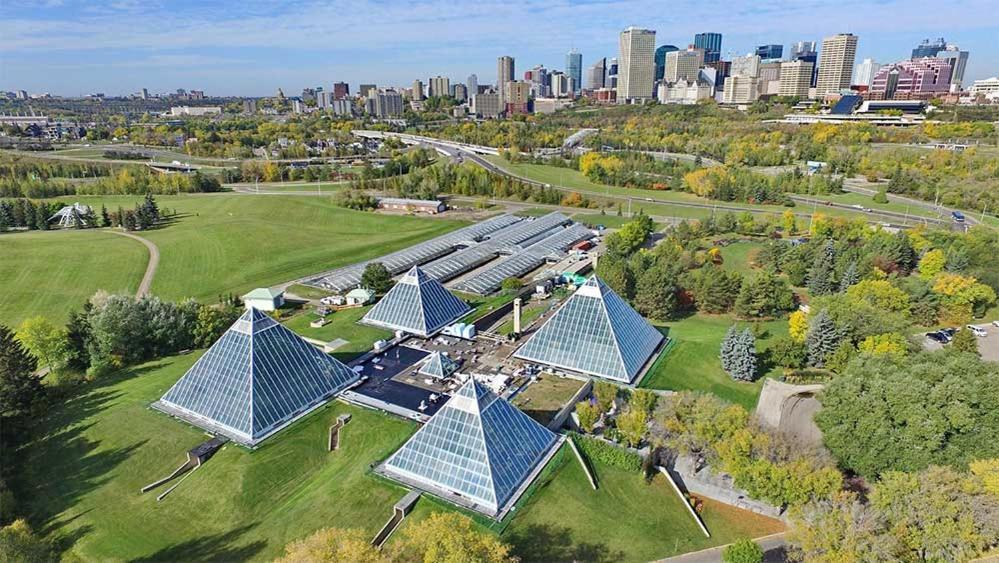 Bright Modern Home - King Bed - Free Parking - Fireplace - Fast Wi-Fi - Free Netflix Edmonton Bagian luar foto
